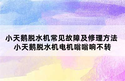 小天鹅脱水机常见故障及修理方法 小天鹅脱水机电机嗡嗡响不转